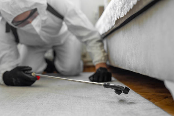 Professional Bed Bug Control technician working in Millersport, OH